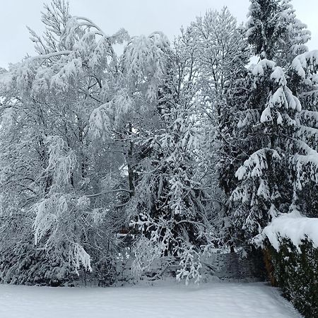Appartamento Le Carlton Chamonix Esterno foto